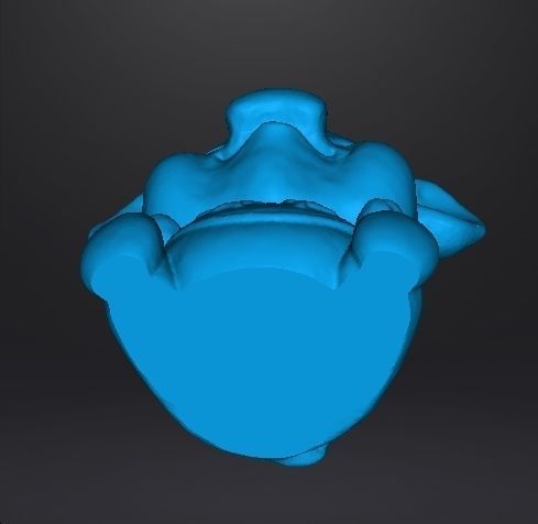 LUCKY PIG TOY FOR KIDS PVC PLASTIC FIGURE MODEL KAWAII 3D print model_11