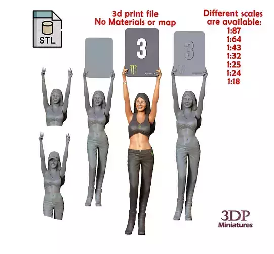 N2 Pit Girl with Placard