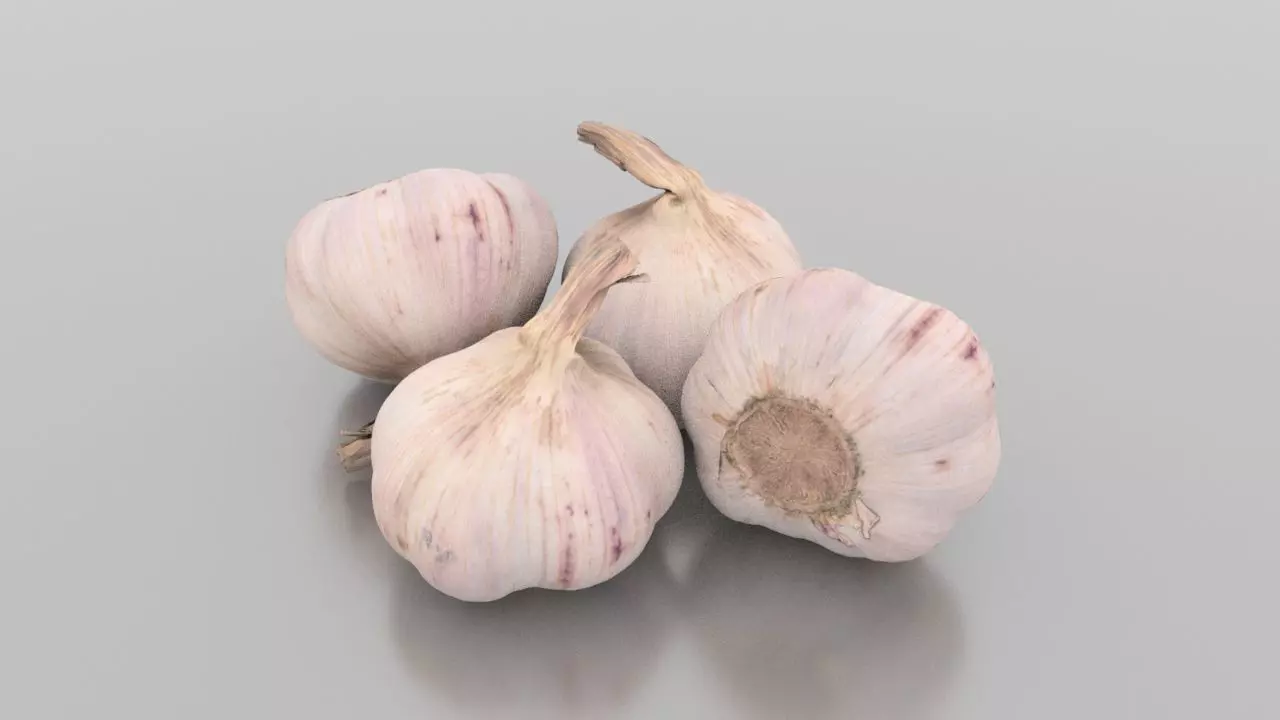 Head of Garlic Low-poly 3D model_0