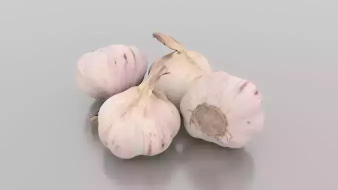 Head of Garlic