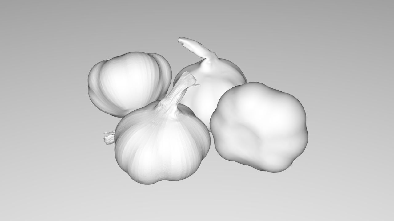 Head of Garlic Low-poly 3D model_1