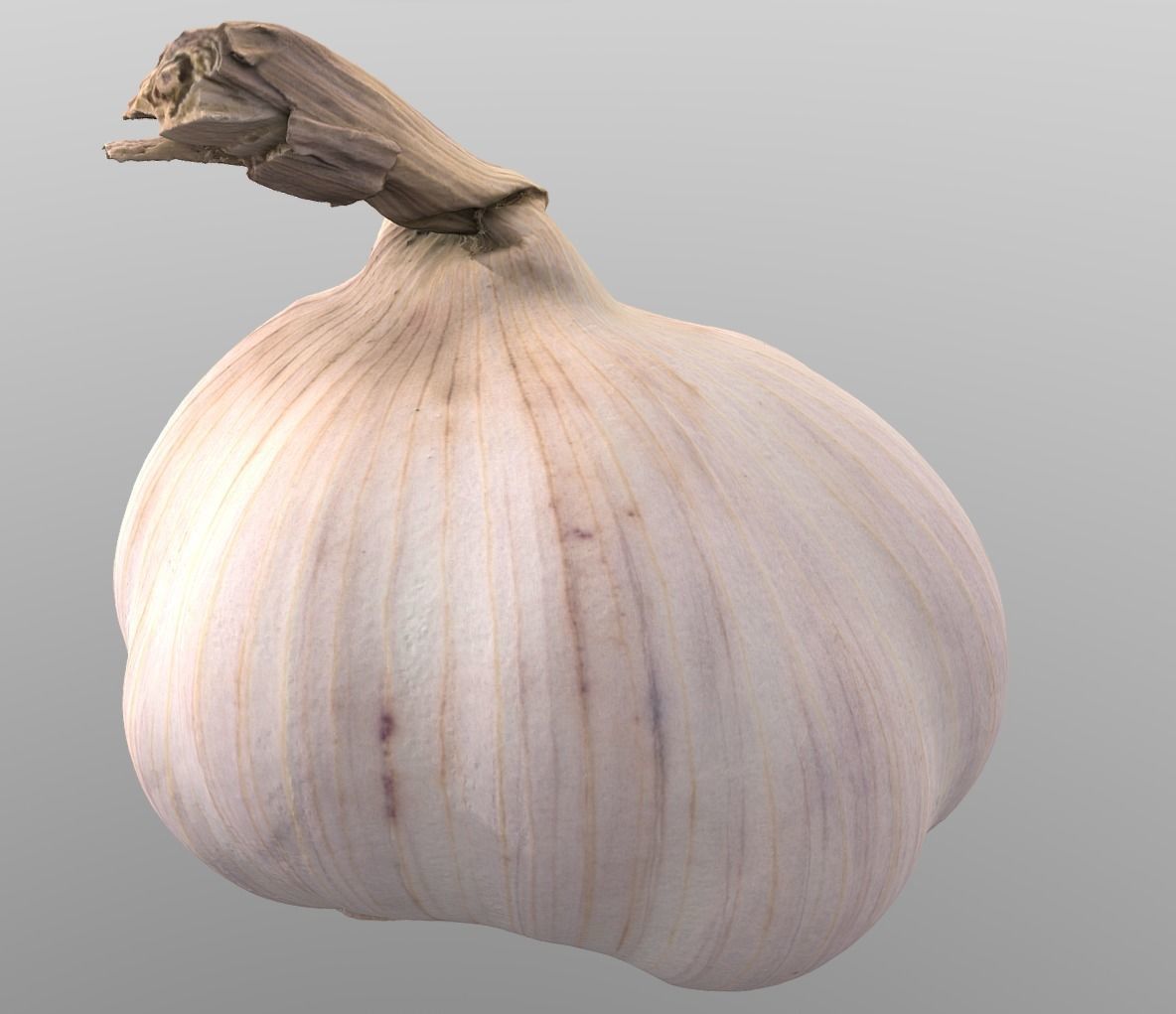 Head of Garlic Low-poly 3D model_6
