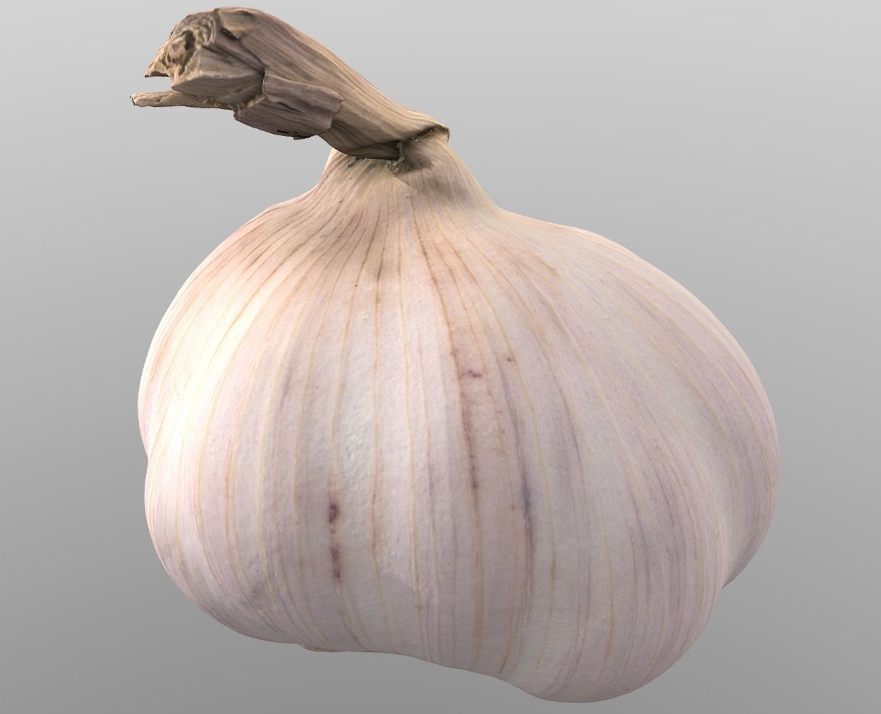 Head of Garlic Low-poly 3D model_8