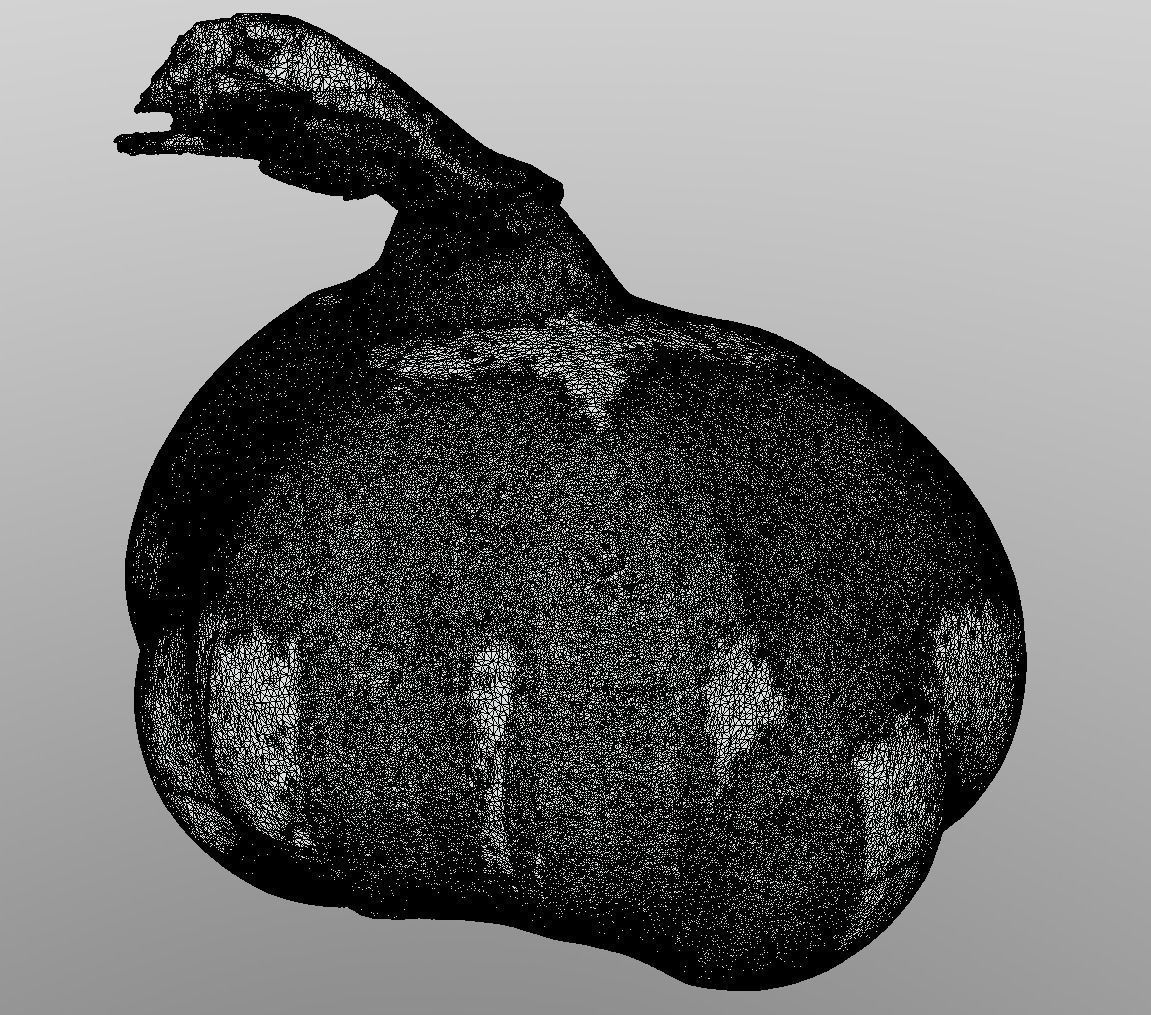 Head of Garlic Low-poly 3D model_7