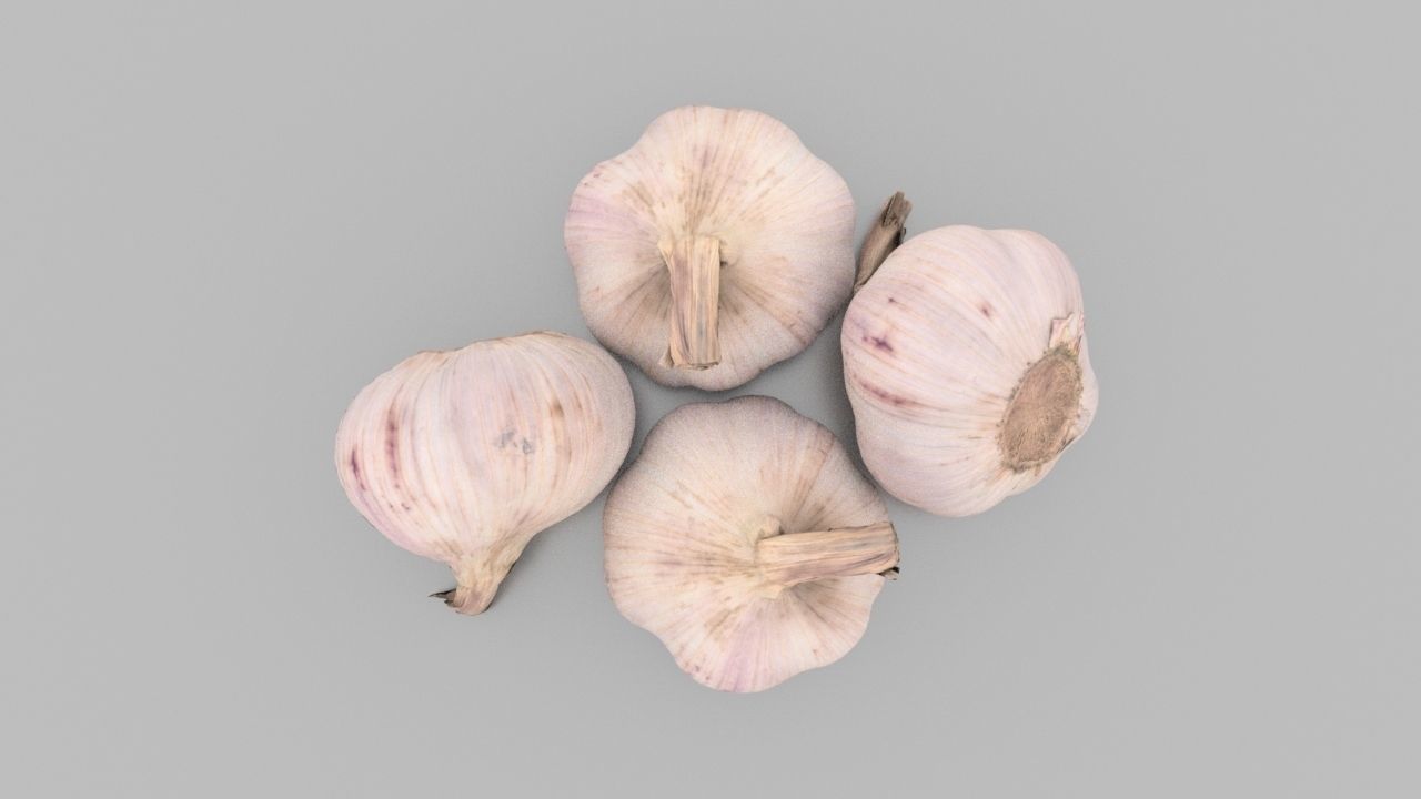 Head of Garlic Low-poly 3D model_4