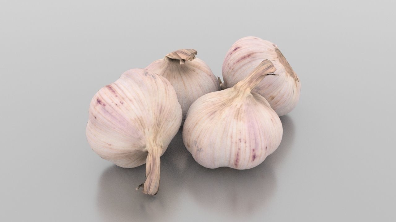 Head of Garlic Low-poly 3D model_2