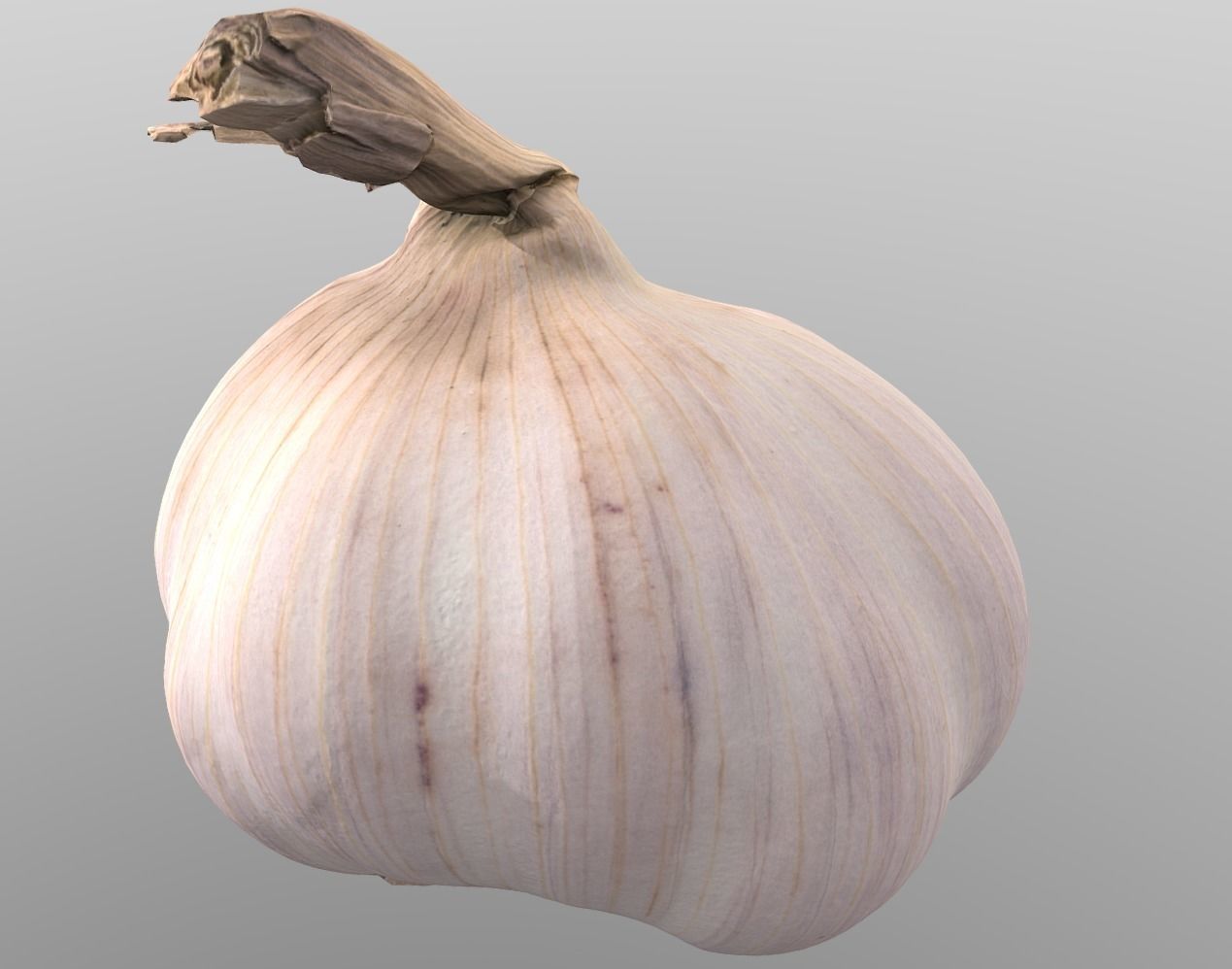Head of Garlic Low-poly 3D model_10