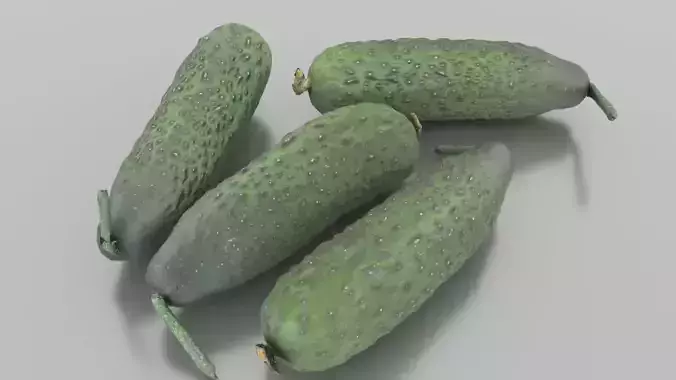 Cucumber