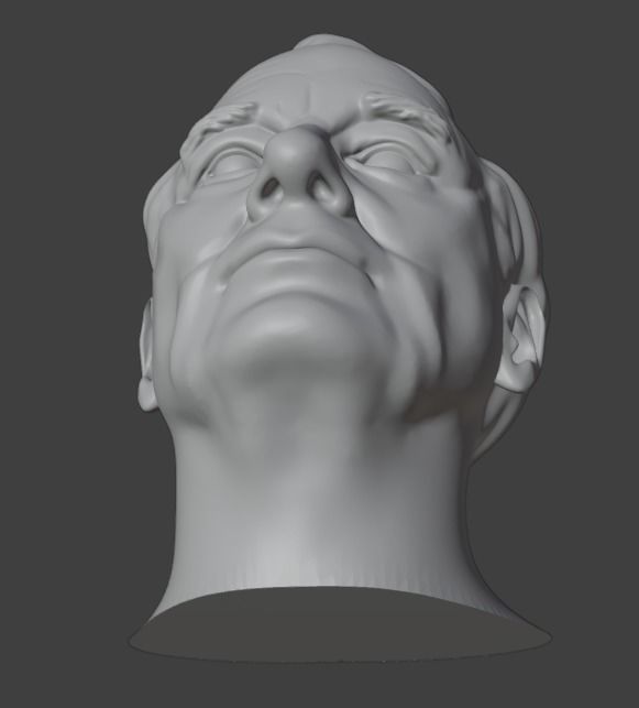 Bill Murray 3D print model_12