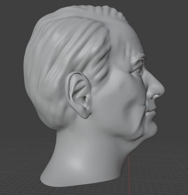 Bill Murray 3D print model_10