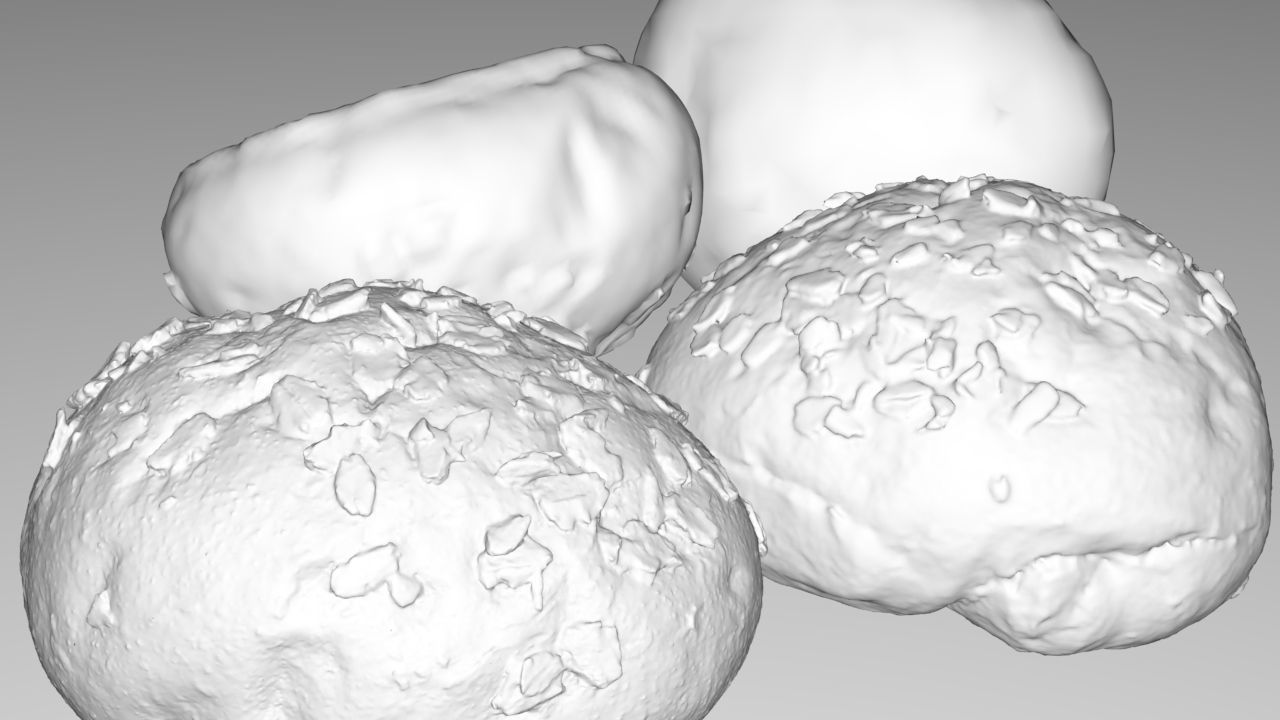 Cereal Bun Low-poly 3D model_5