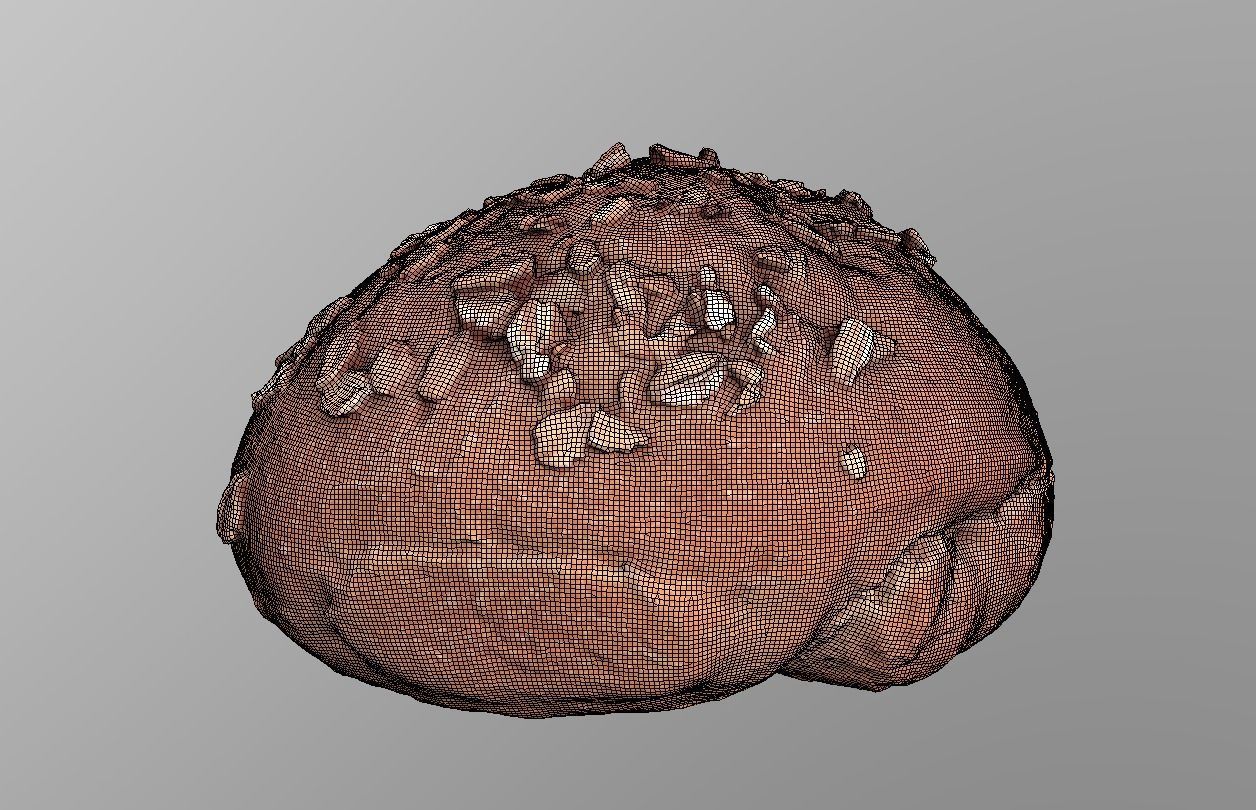 Cereal Bun Low-poly 3D model_9