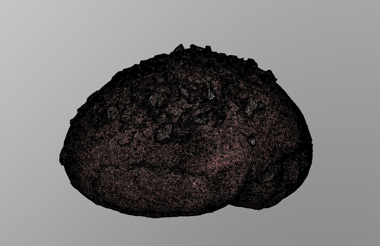 Cereal Bun Low-poly 3D model_7