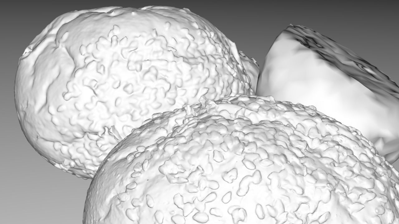 Sesame Bun Low-poly 3D model_5