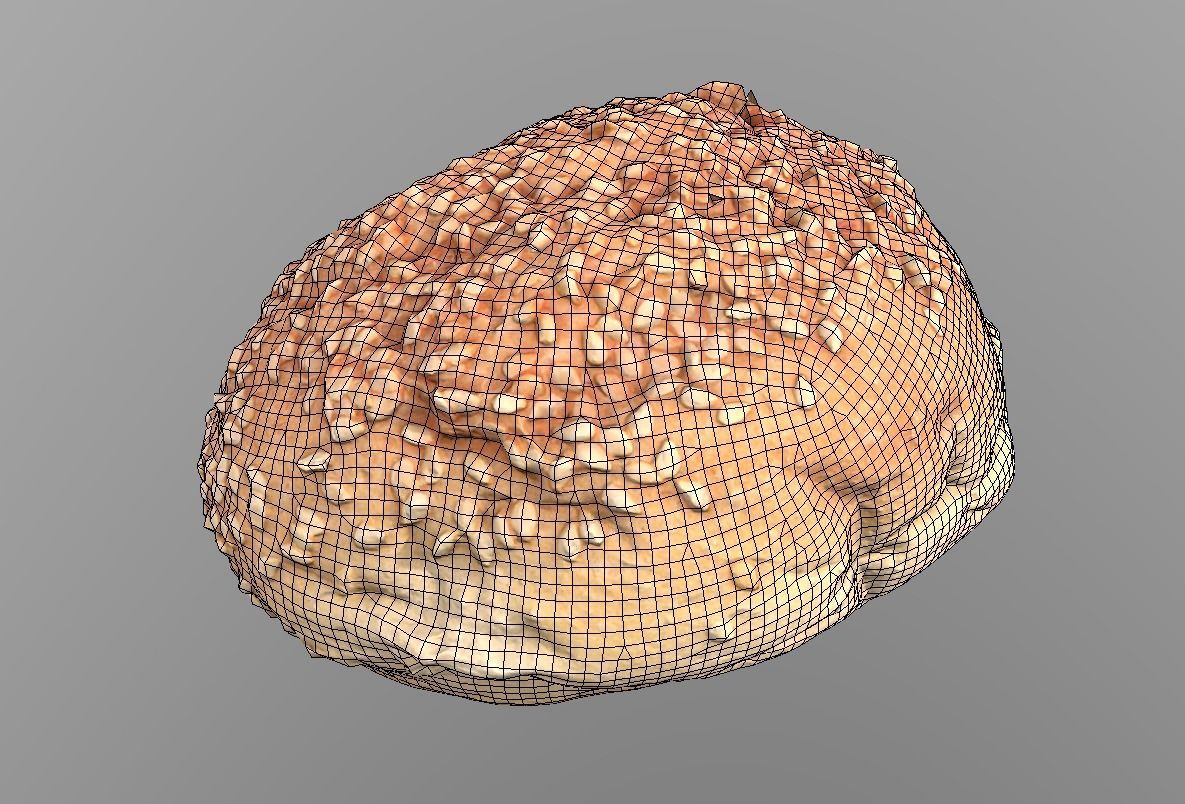 Sesame Bun Low-poly 3D model_11