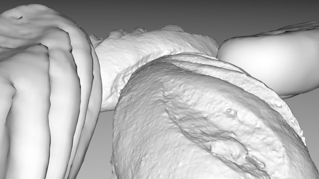 Rye Baguette Low-poly 3D model_5