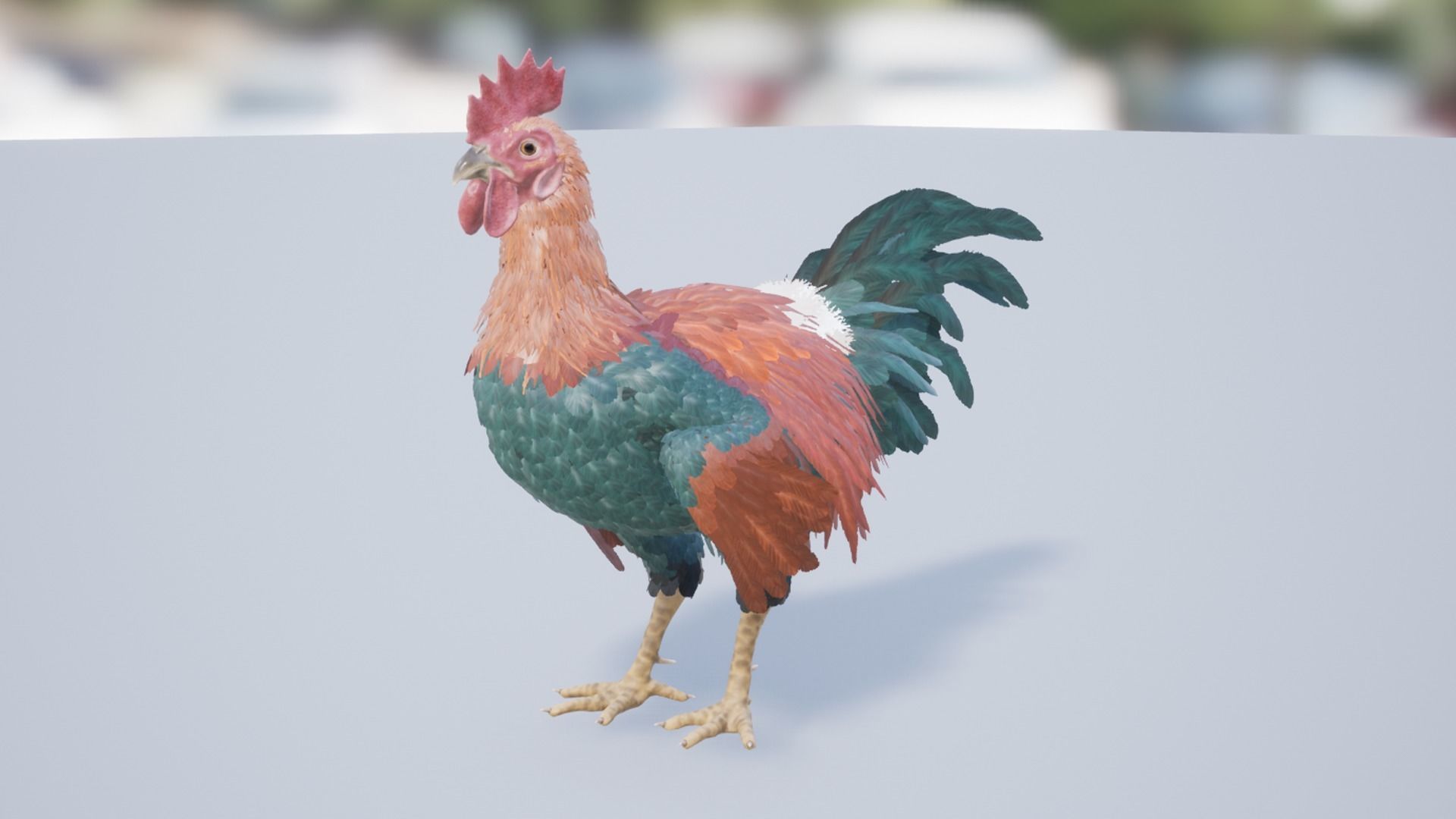 Feathered Rooster Low-poly 3D model_3