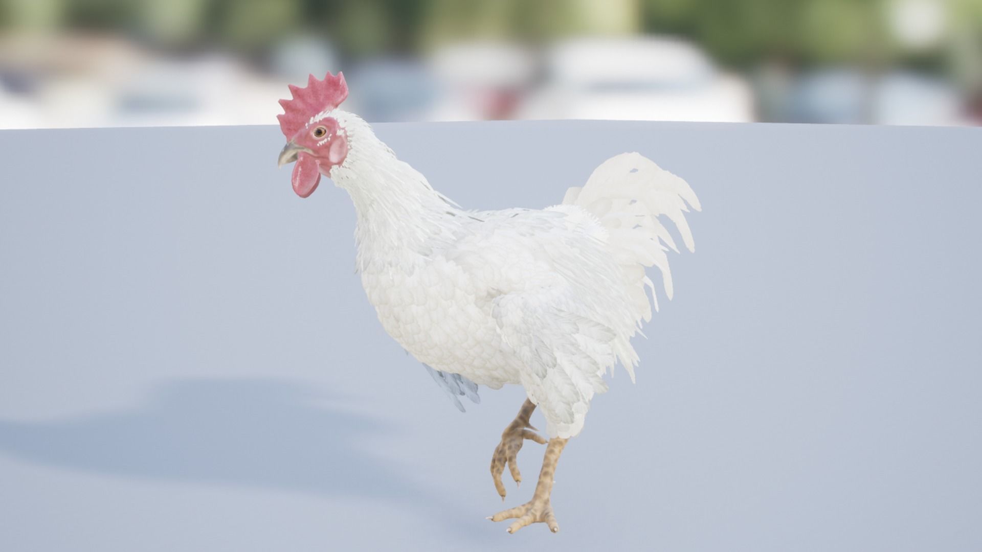 Feathered Rooster Low-poly 3D model_7