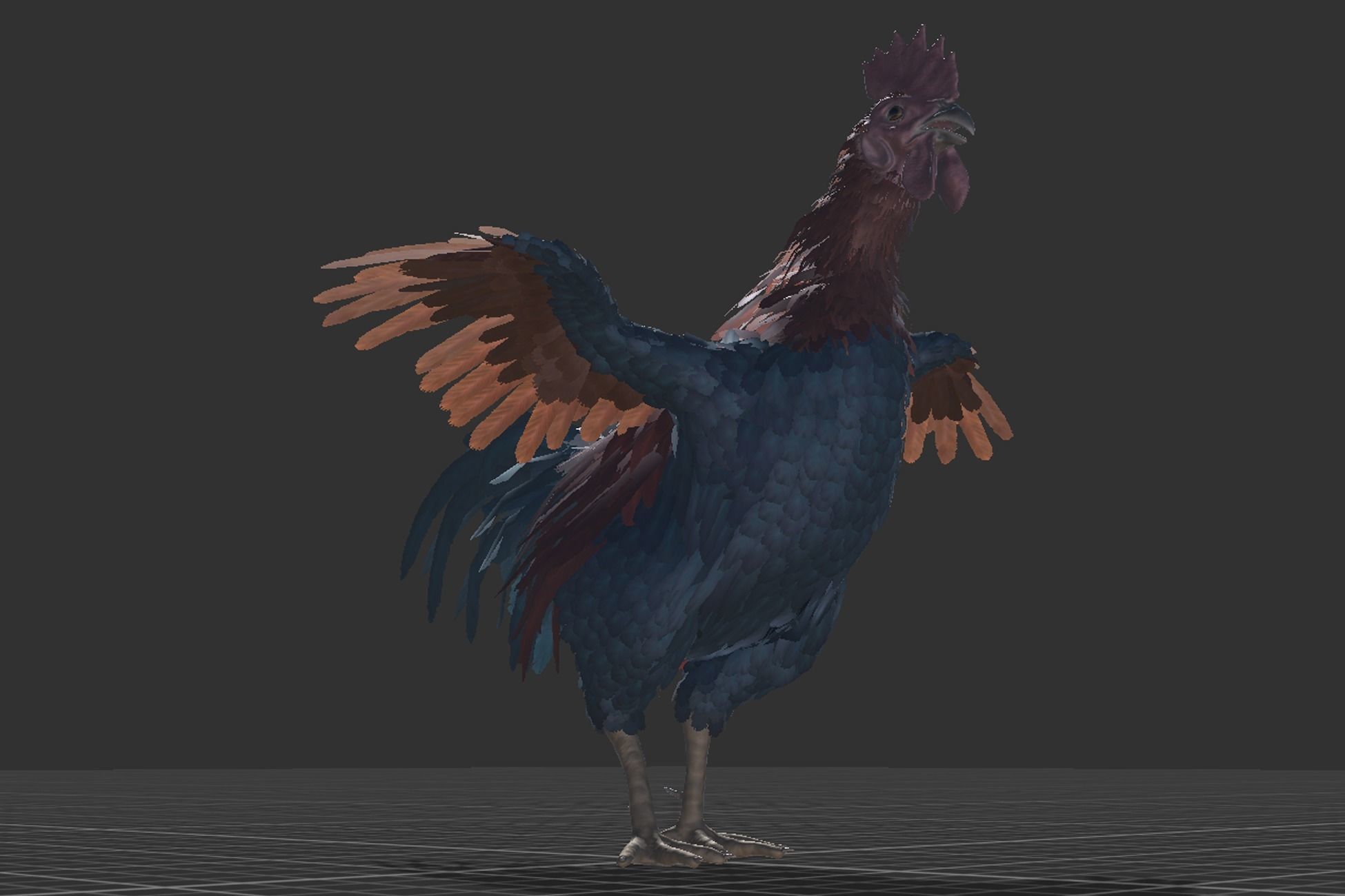 Feathered Rooster Low-poly 3D model_12