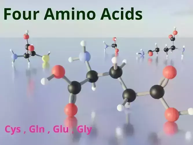 3D molecular model of amino acids