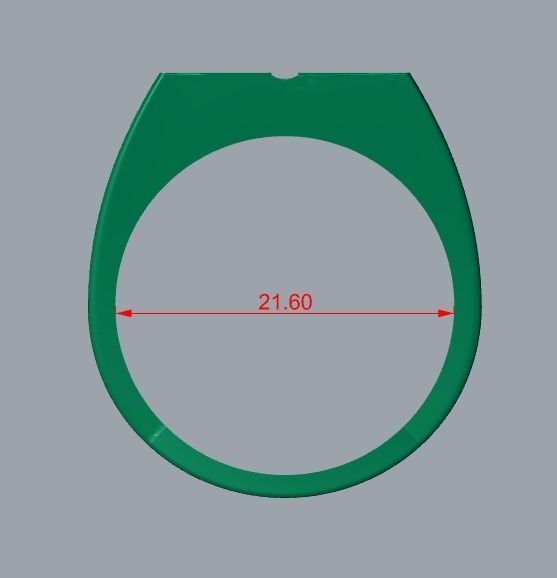 ring men 3D print model_8