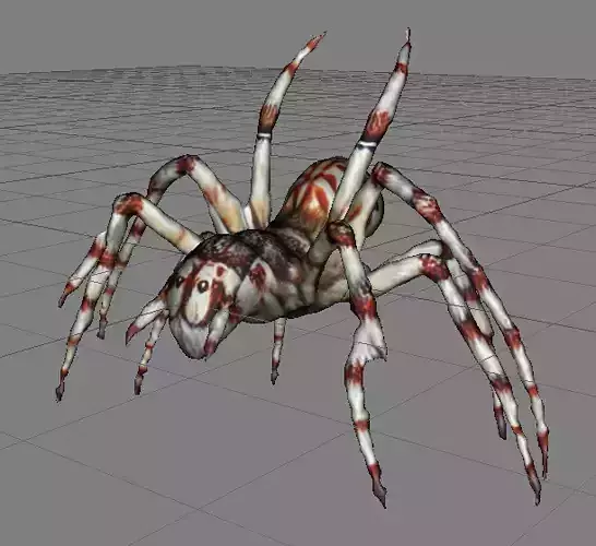 spooky scary white spider
