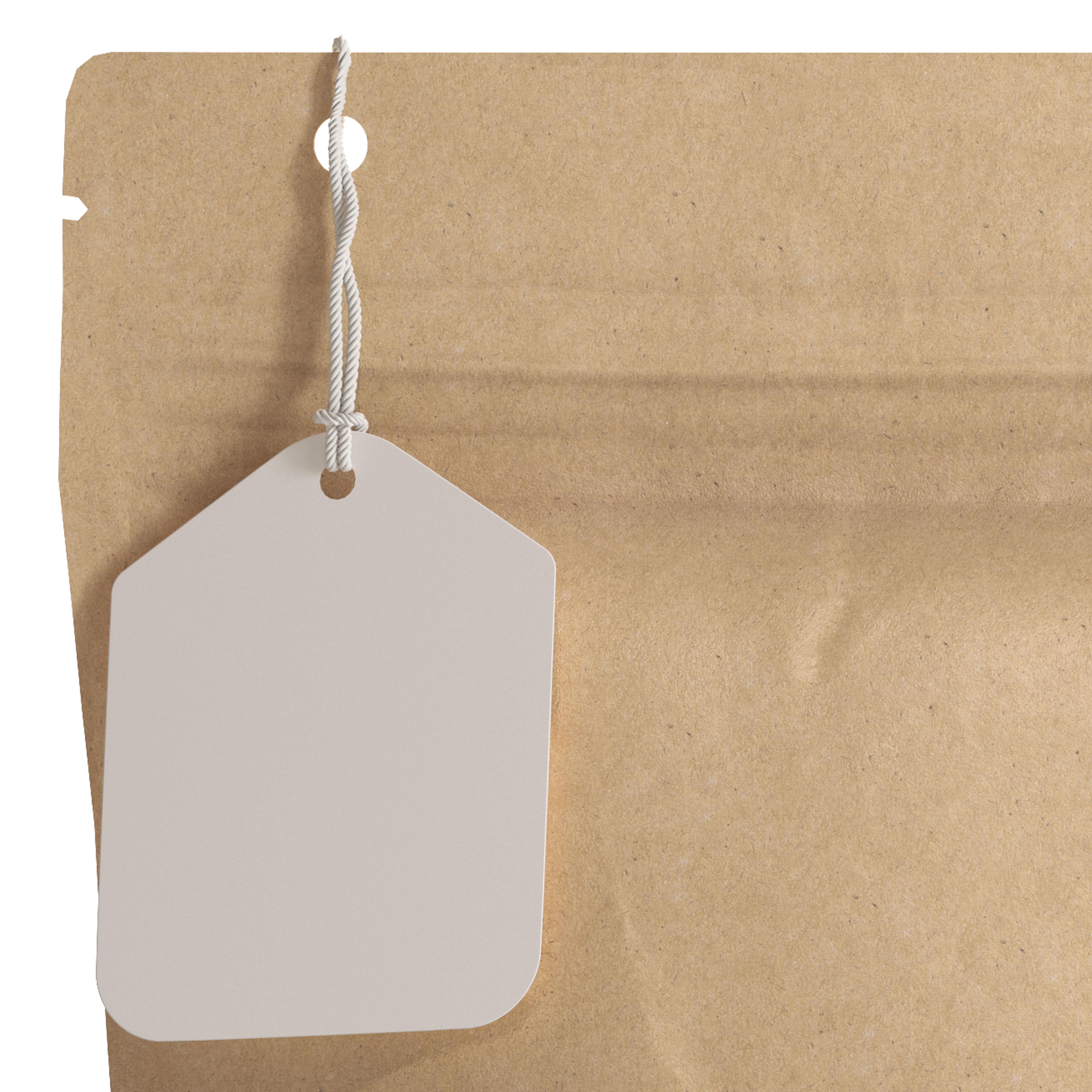 Realistic Kraft Paper Doypack with Label Mockup Low-poly 3D model_2