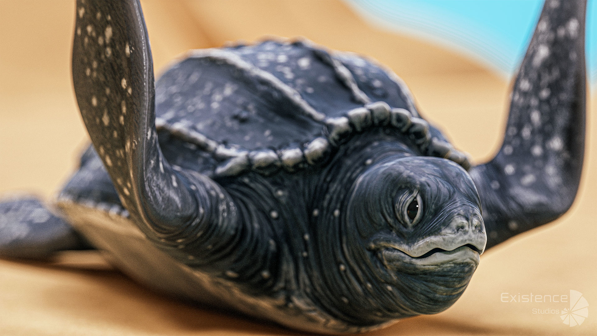 Sea Turtle - Lassie Reptile - Underwater Monster Creature - 36 Low-poly 3D model_10