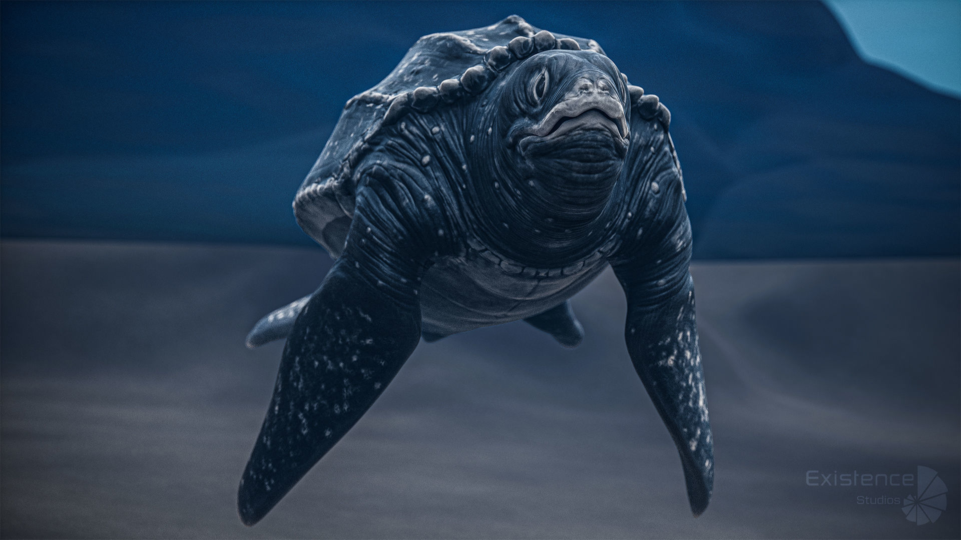 Sea Turtle - Lassie Reptile - Underwater Monster Creature - 36 Low-poly 3D model_12