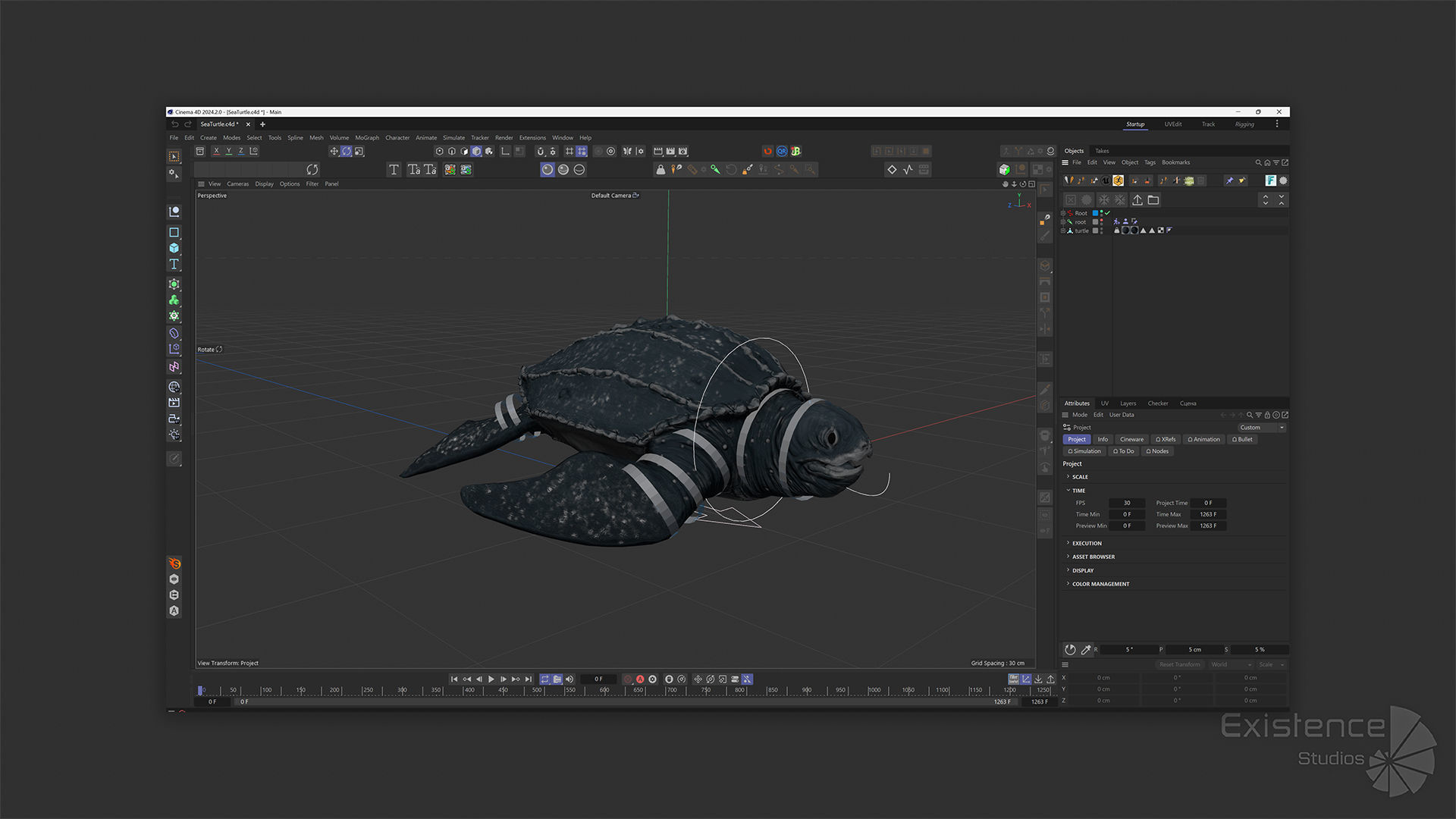 Sea Turtle - Lassie Reptile - Underwater Monster Creature - 36 Low-poly 3D model_14