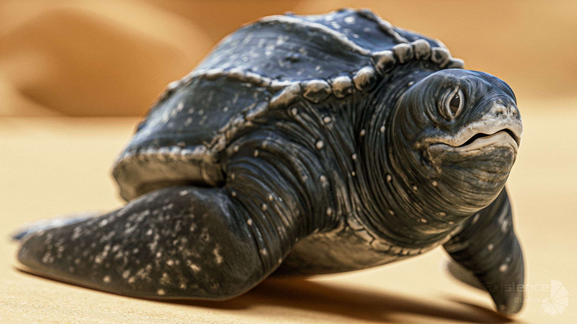 Sea Turtle - Lassie Reptile - Underwater Monster Creature - 36 Low-poly 3D model_7