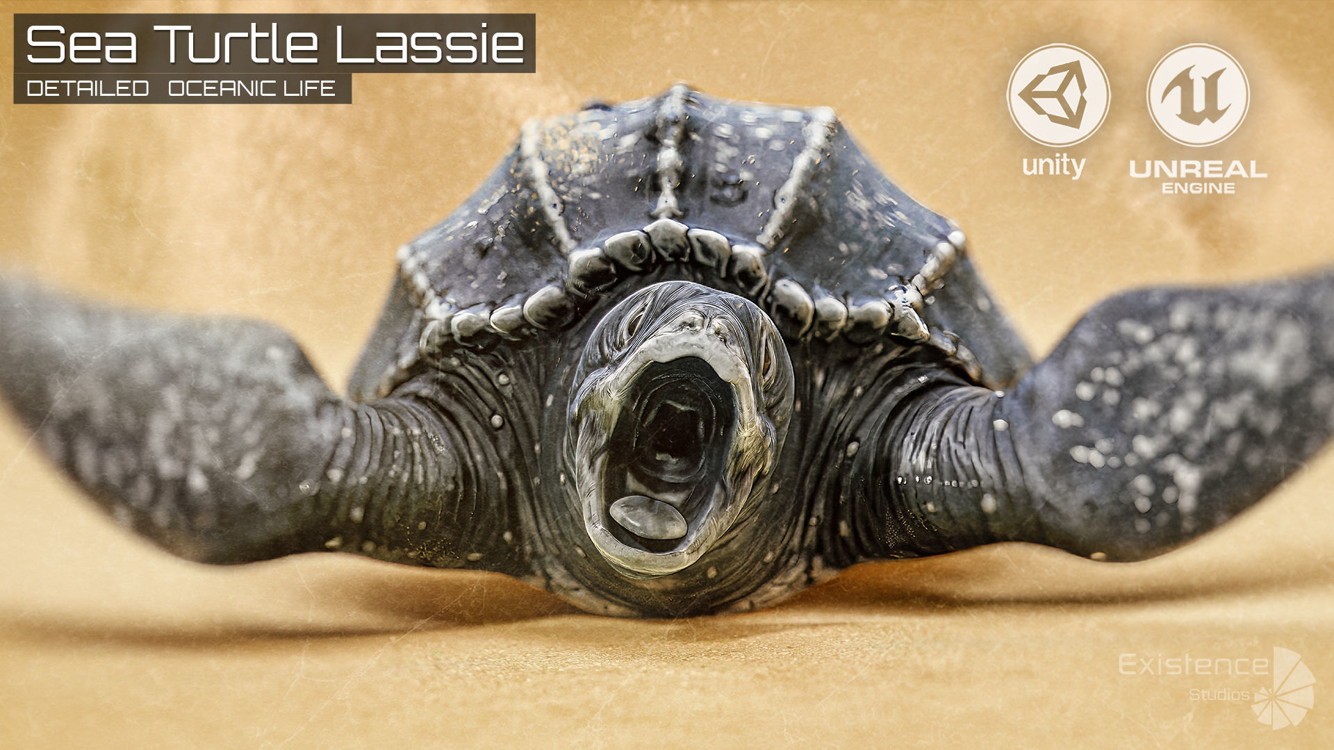 Sea Turtle - Lassie Reptile - Underwater Monster Creature - 36 Low-poly 3D model_3