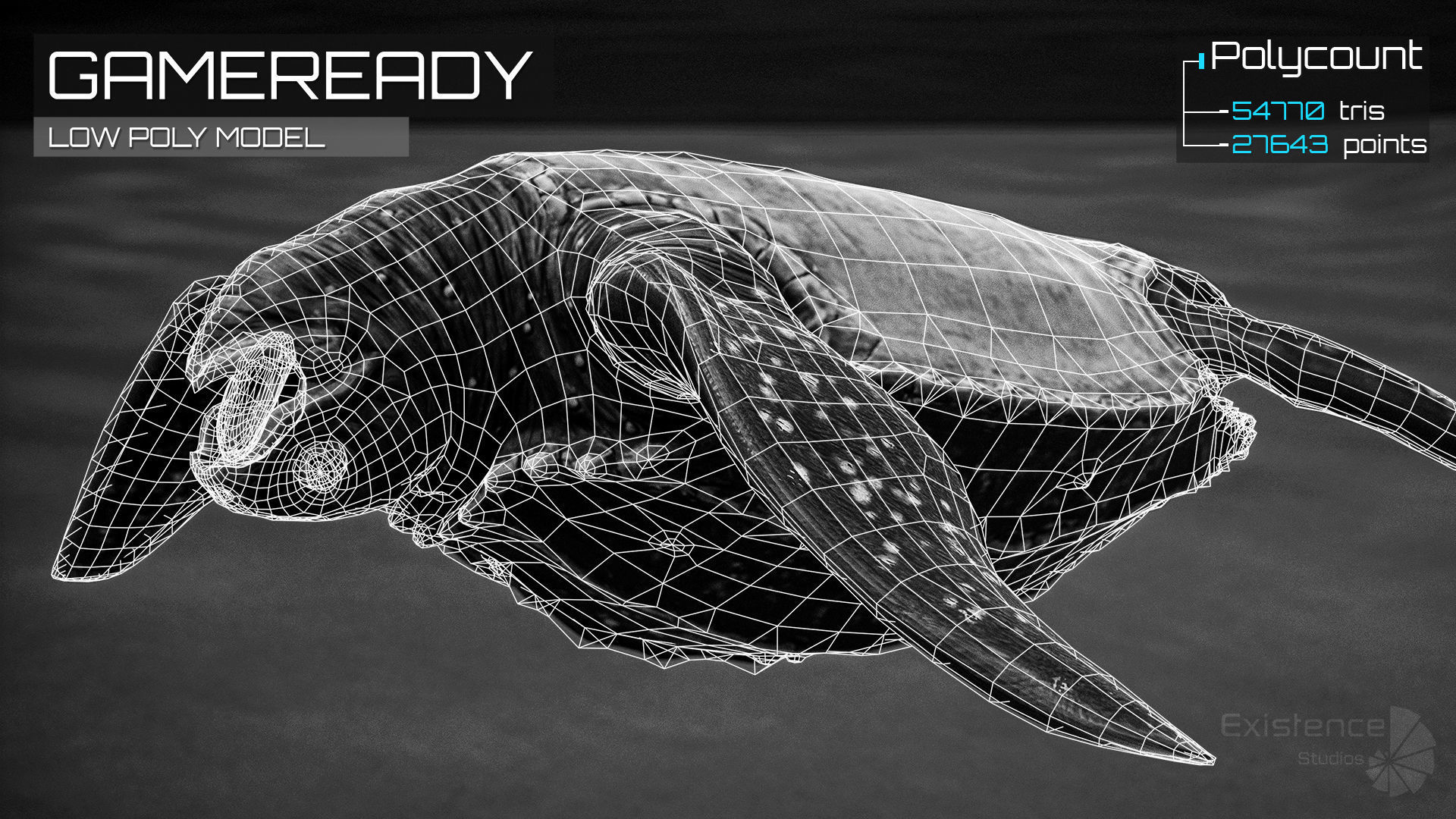 Sea Turtle - Lassie Reptile - Underwater Monster Creature - 36 Low-poly 3D model_6