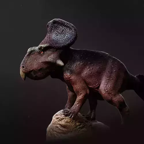 Protoceratops standing 1-20 scale pre-supported dinosaur