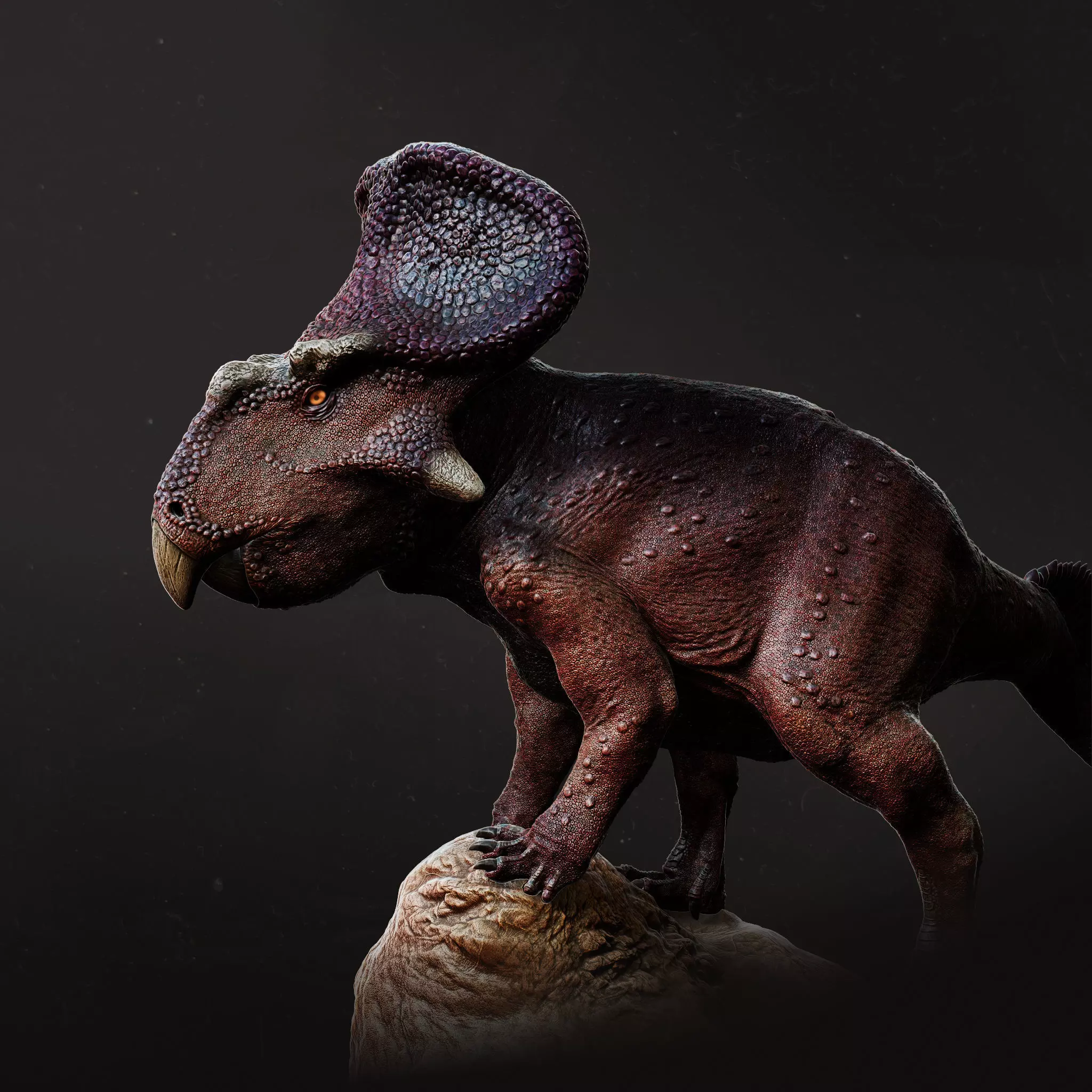 Protoceratops standing 1-20 scale pre-supported dinosaur 3D print model