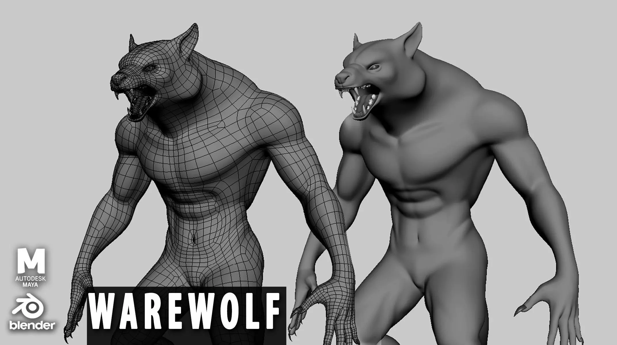 WareWolf Basemesh Low-poly 3D model_0