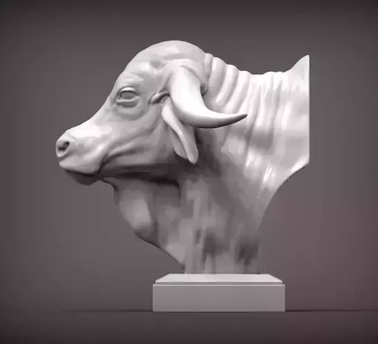 Gyr Bull bust