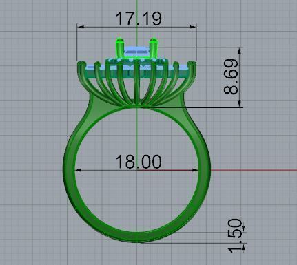 Cluster Ring 4634 3D print model_5