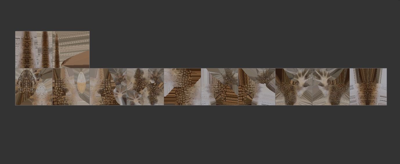 Ackie Monitor Lizard Reaistic 3D model  Rigged and Animated  Low-poly 3D model_11