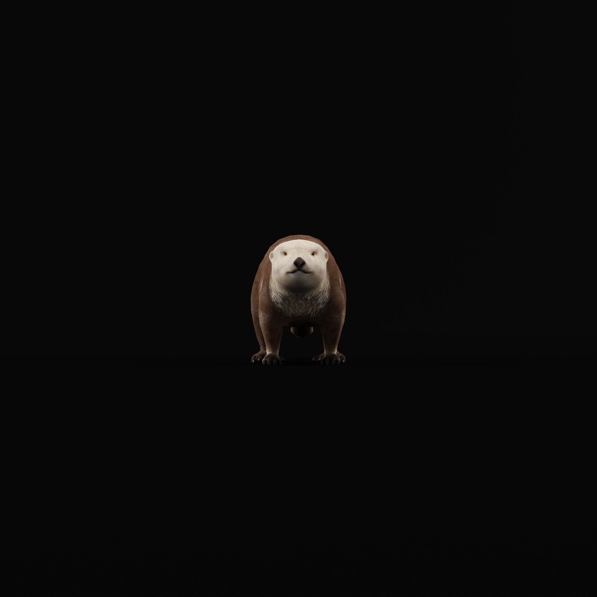 Sea Otter Mammal  Low-poly 3D model_4