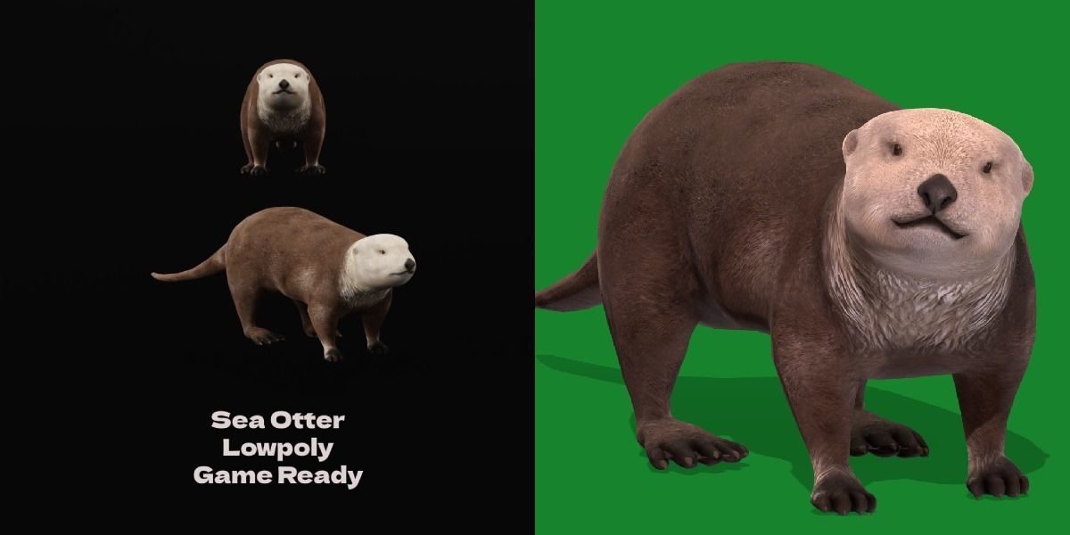 Sea Otter Mammal  Low-poly 3D model_2