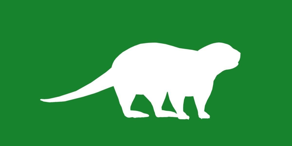 Sea Otter Mammal  Low-poly 3D model_24