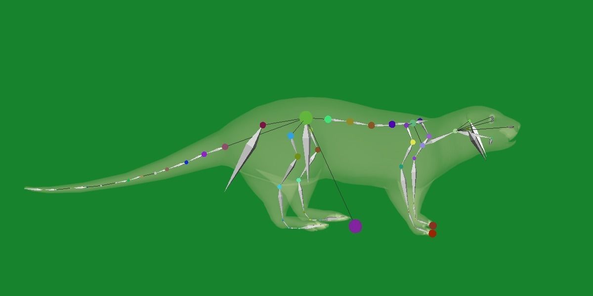 Sea Otter Mammal  Low-poly 3D model_20