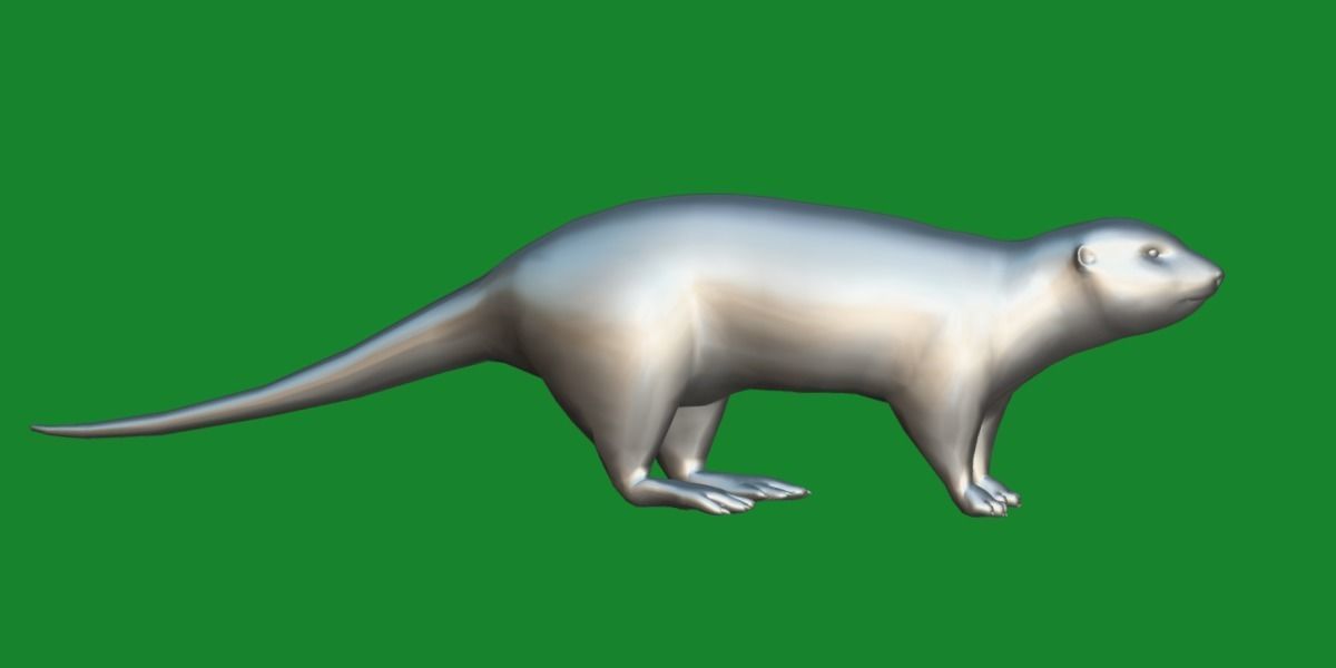 Sea Otter Mammal  Low-poly 3D model_10