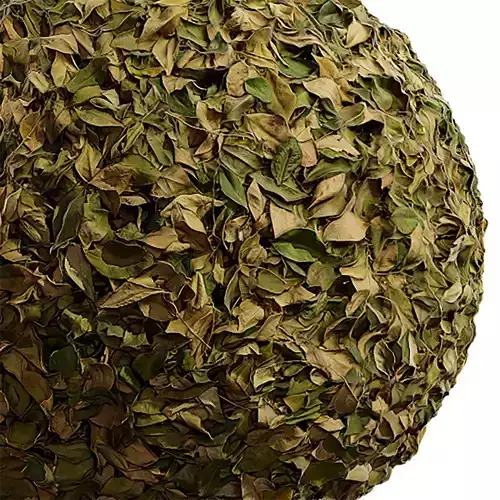 Ground Seamless Texture 2K - EXR 5 - JPG 5 Texture