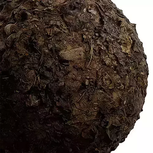 Ground Seamless Texture 2K - EXR 5 - JPG 5 Texture