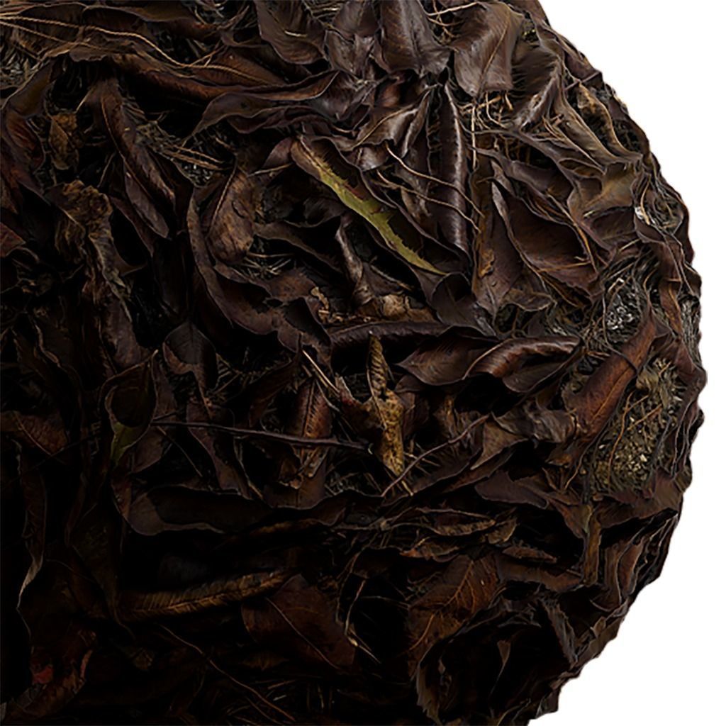 Ground Seamless Texture 2K - EXR 5 - JPG 5 Texture Texture_2