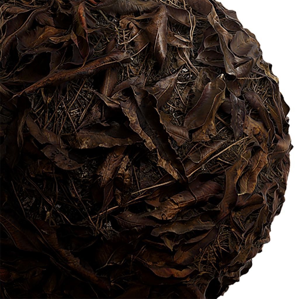 Ground Seamless Texture 2K - EXR 5 - JPG 5 Texture Texture_1