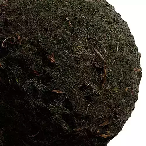 Ground Seamless Texture 2K - EXR 5 - JPG 5 Texture