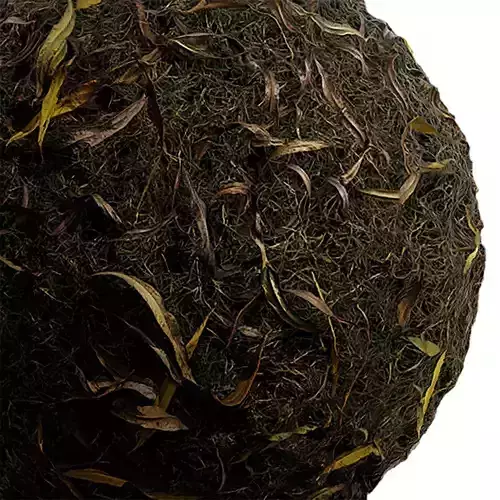 Ground Seamless Texture 2K - EXR 5 - JPG 5 Texture